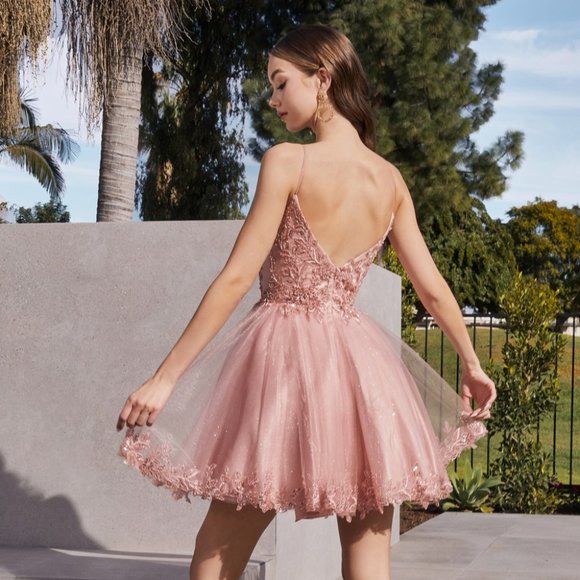 NEW SHORT OFF THE SHOULDER SLEEVELESS A-LINE DRESS WITH OPEN ZIPPER BACK CD0213 - Picture 7 of 9